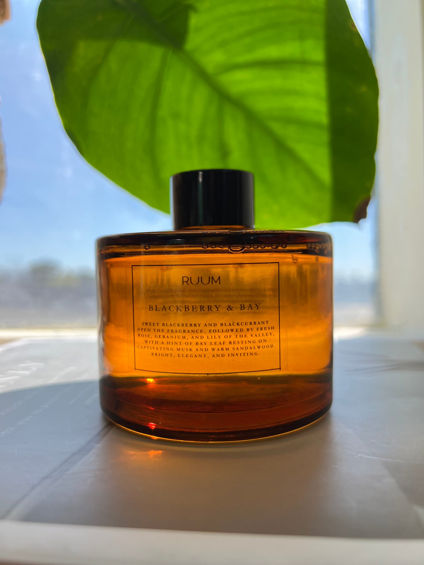 Blackberry & Bay Lõhnastaja 200ml